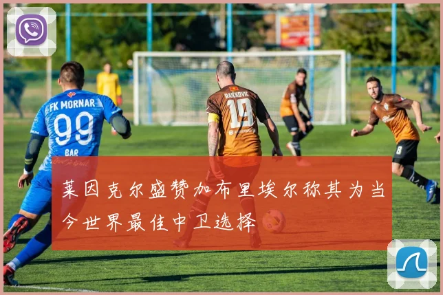 莱因克尔盛赞加布里埃尔称其为当今世界最佳中卫选择