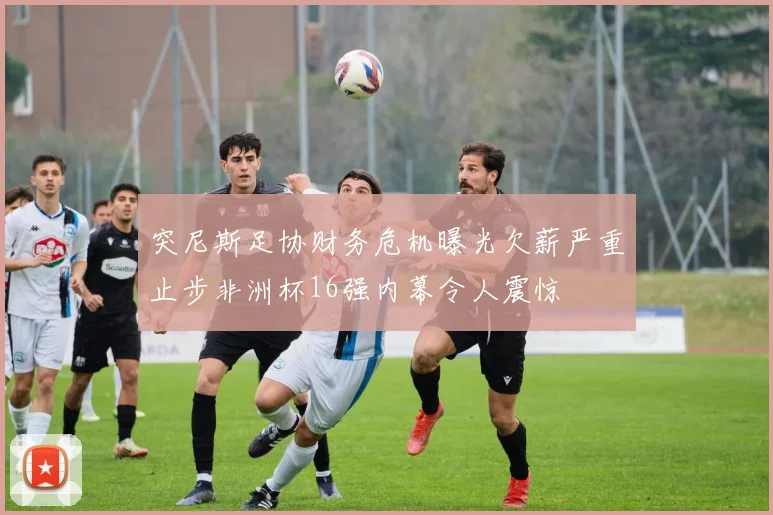 突尼斯足协财务危机曝光欠薪严重止步非洲杯16强内幕令人震惊