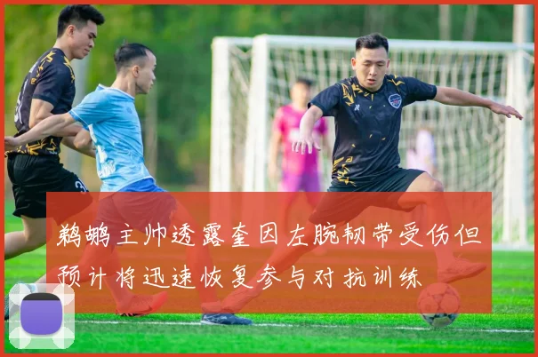 鹈鹕主帅透露奎因左腕韧带受伤但预计将迅速恢复参与对抗训练