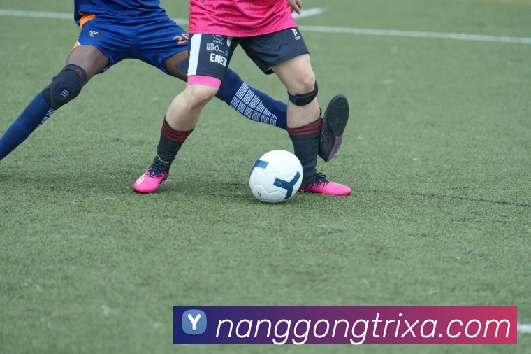 南宫体育发展历程